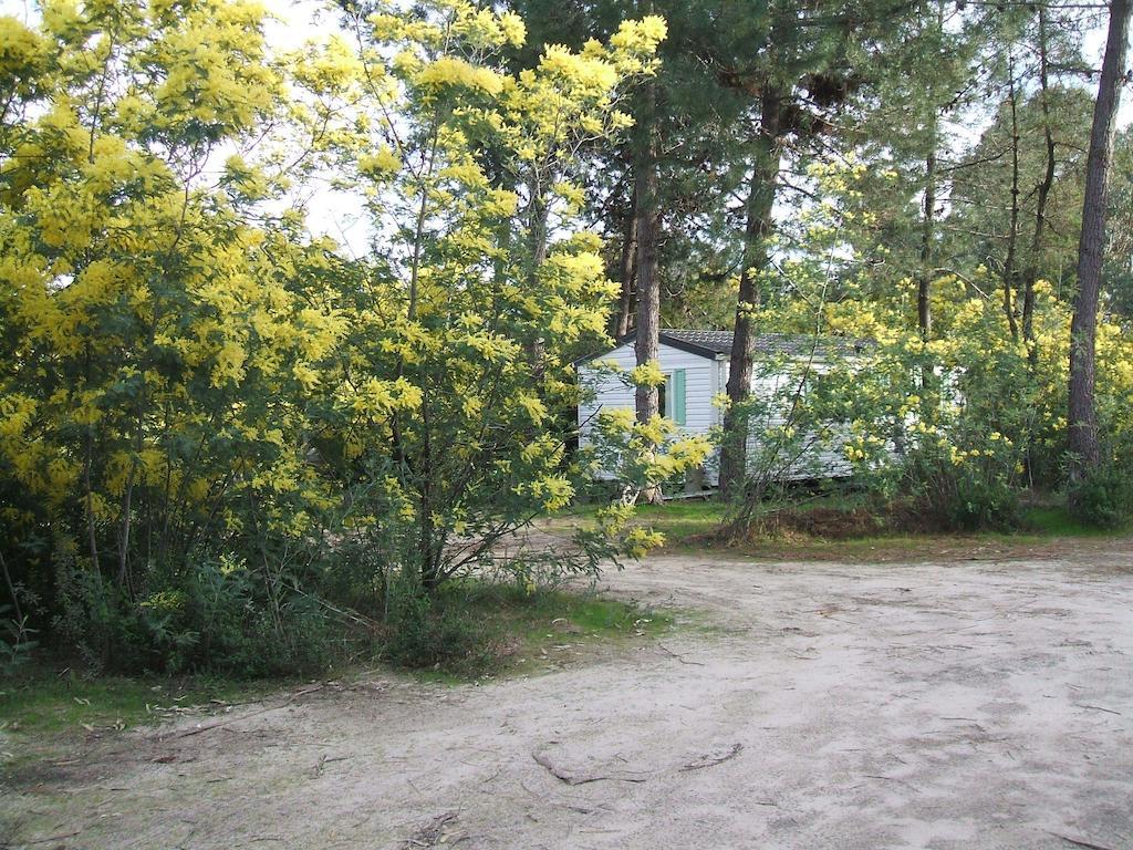 Residence Santa Ґізоначча Екстер'єр фото