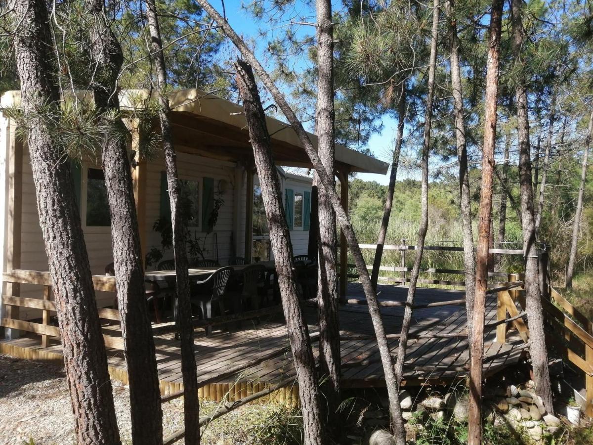 Residence Santa Ґізоначча Екстер'єр фото